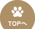 ページ上部へ